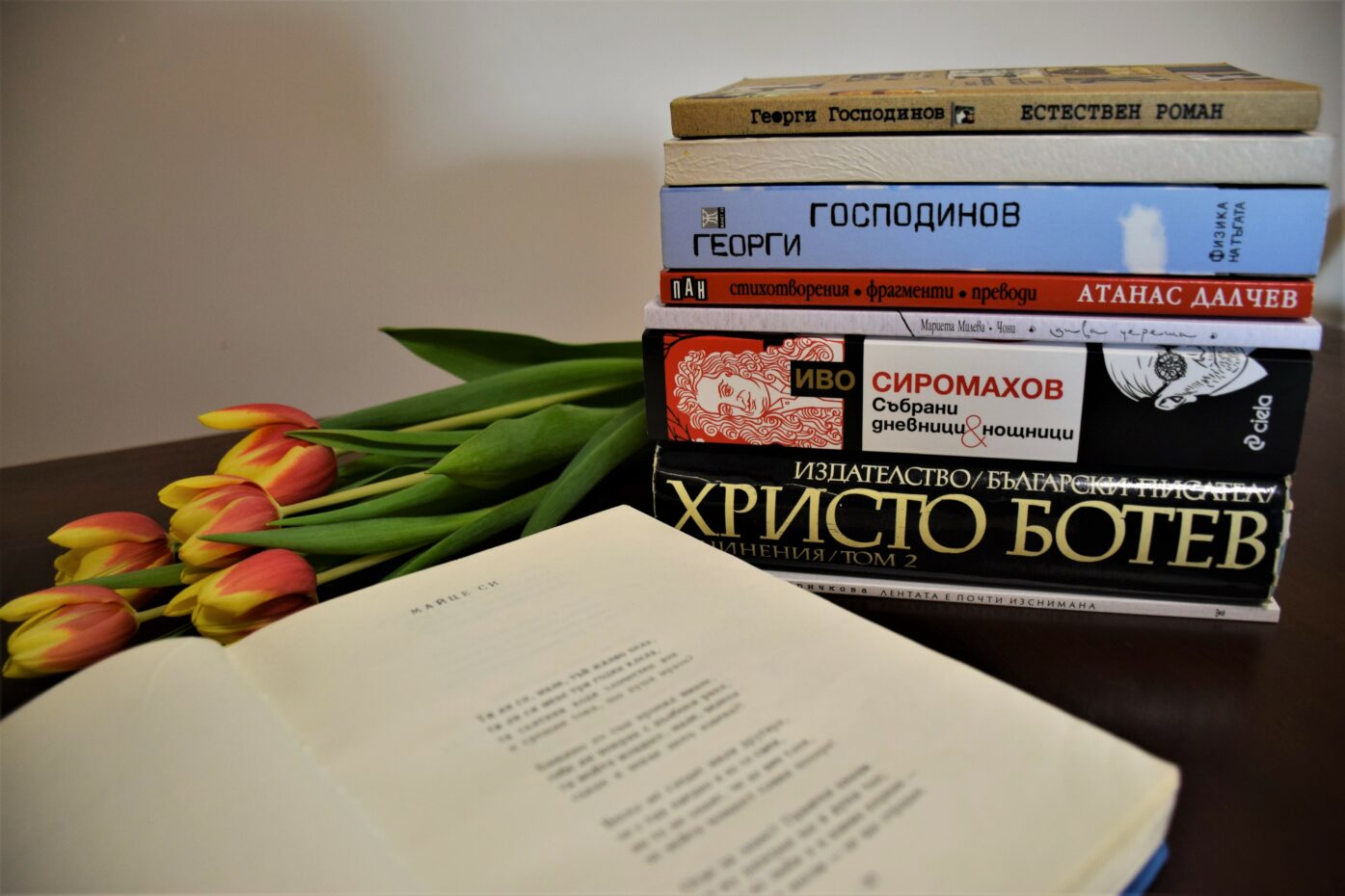 Zhanet-St.-Bulgarian-Books-1395x930.jpg (1395×930)